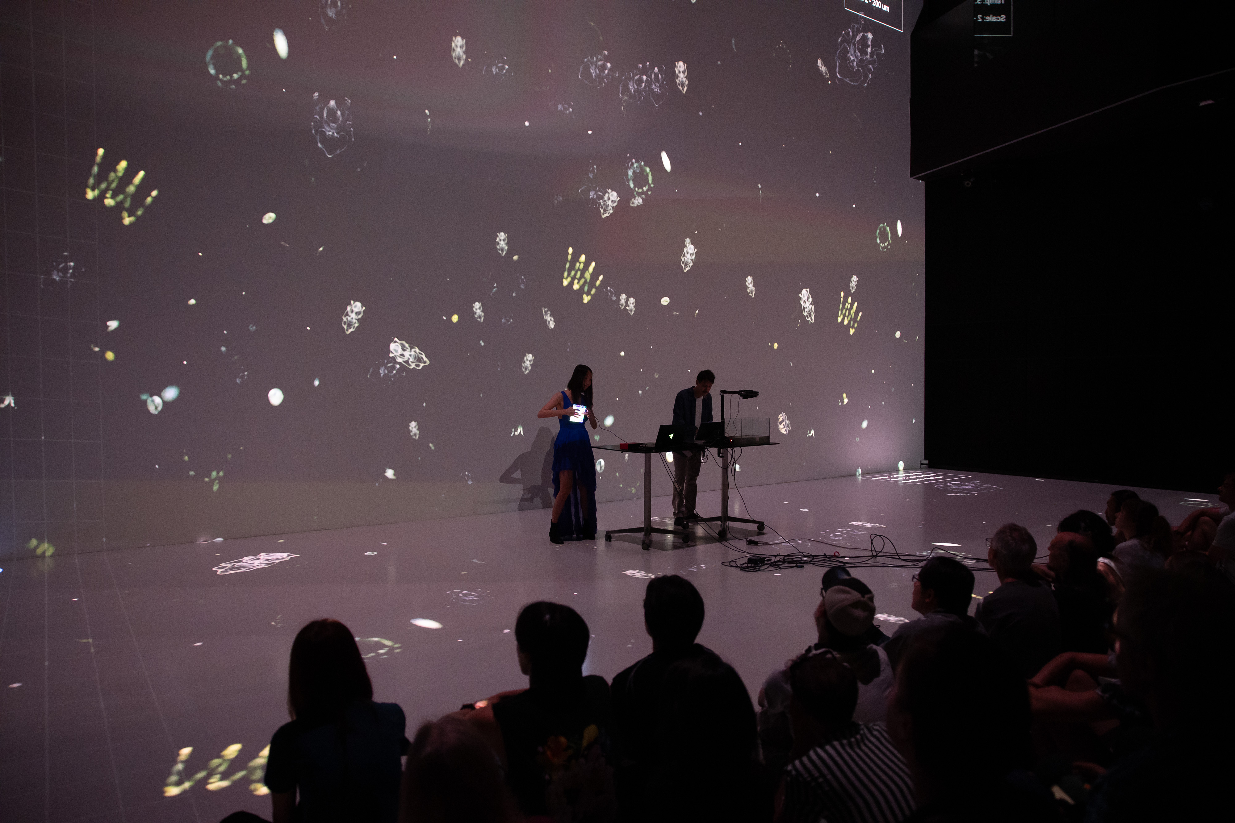 Ars Electronica